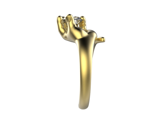 Golden Ring Hand holding Stone