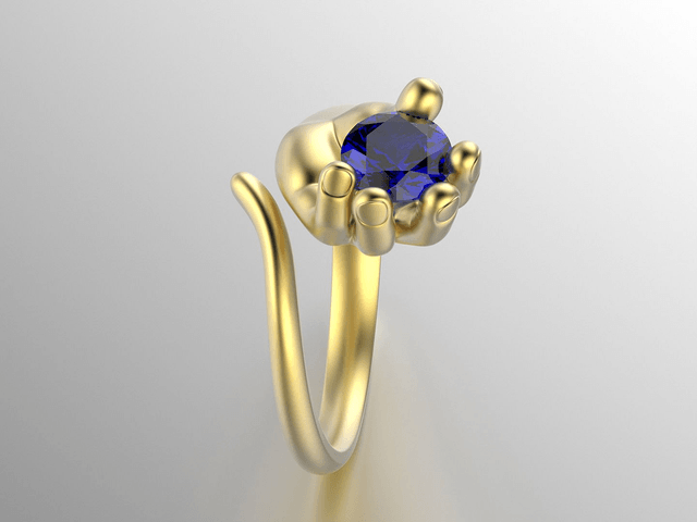 Golden Ring Hand holding Stone