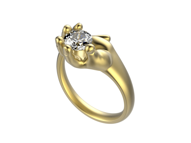 Golden Ring Hand holding Stone